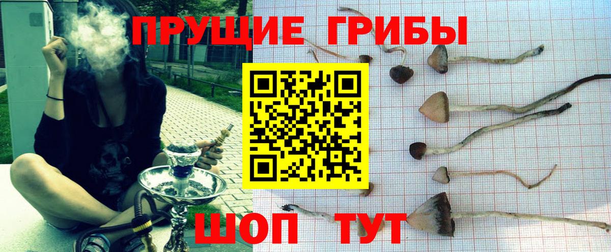 Краснокаменск  Псилоцибиновые грибы ЛСД  Вход с VPN 